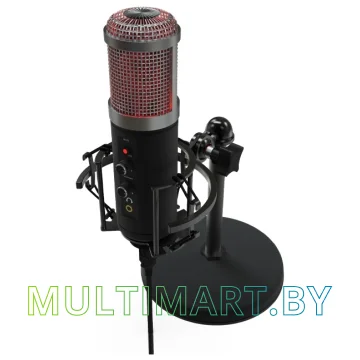 Микрофон Ritmix RDM-260 USB Eloquence картинка 5